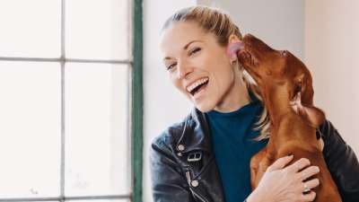 Online Hundeschule