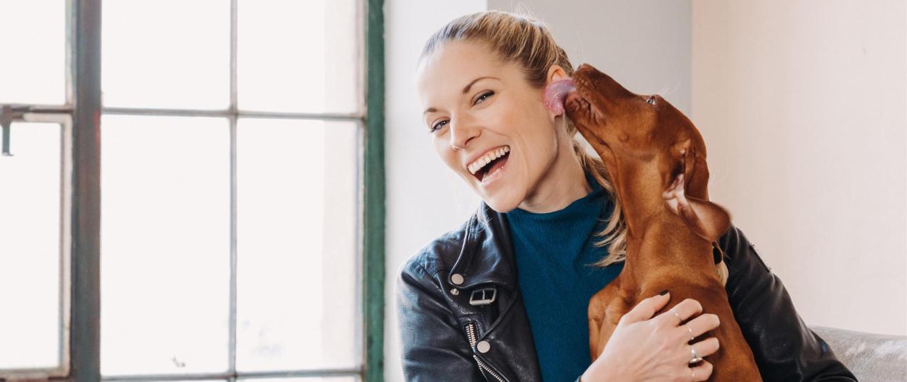 Online Hundeschule