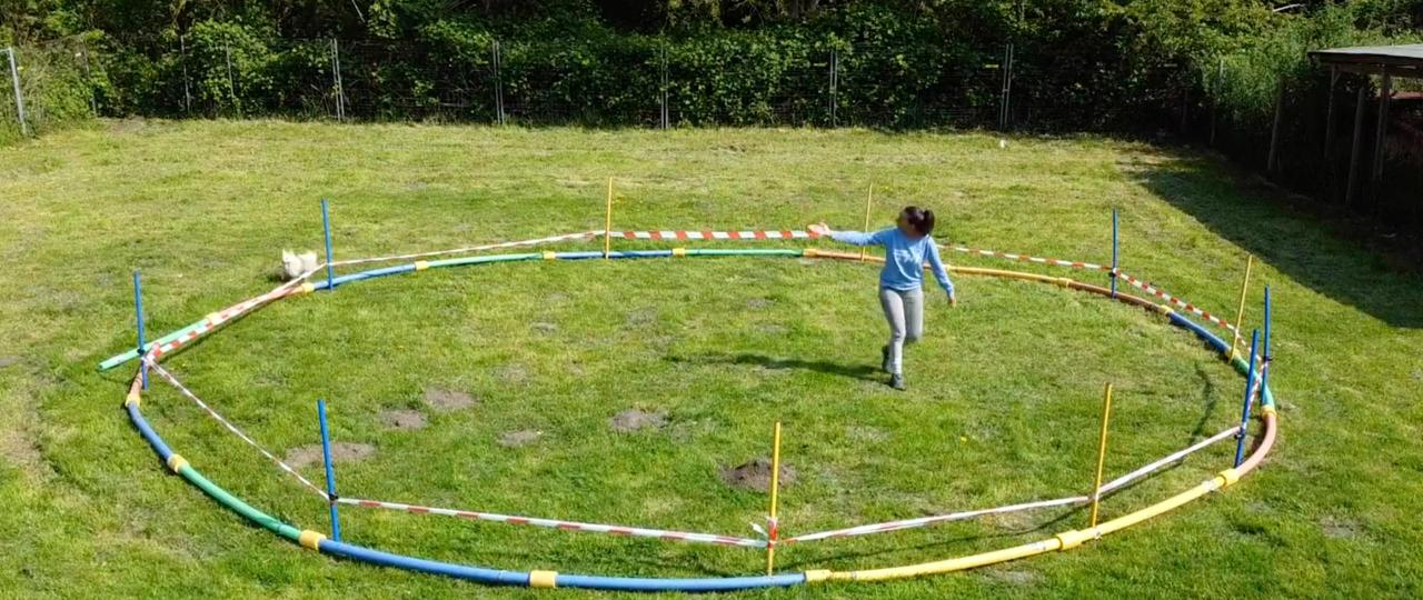 Distanztraining