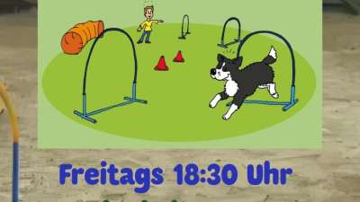 Hoopers Kurs für Anfänger und Fortgeschrittene Beginn 17.07.2026