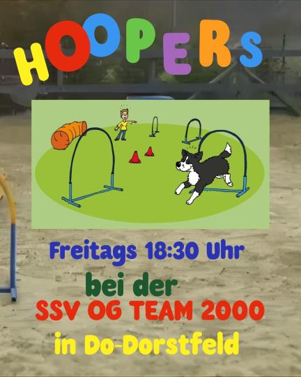 Hoopers Kurs für Anfänger und Fortgeschrittene Beginn 17.07.2026