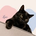 Madame Lotti