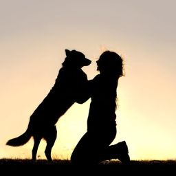 feel the dog! - Anja Baumert - Mensch-Hund-Kommunikation