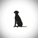 Canis Bonus Hundeschule
