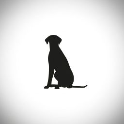 Canis Bonus Hundeschule