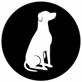 Pet Shop Boyz GmbH & Co. KG