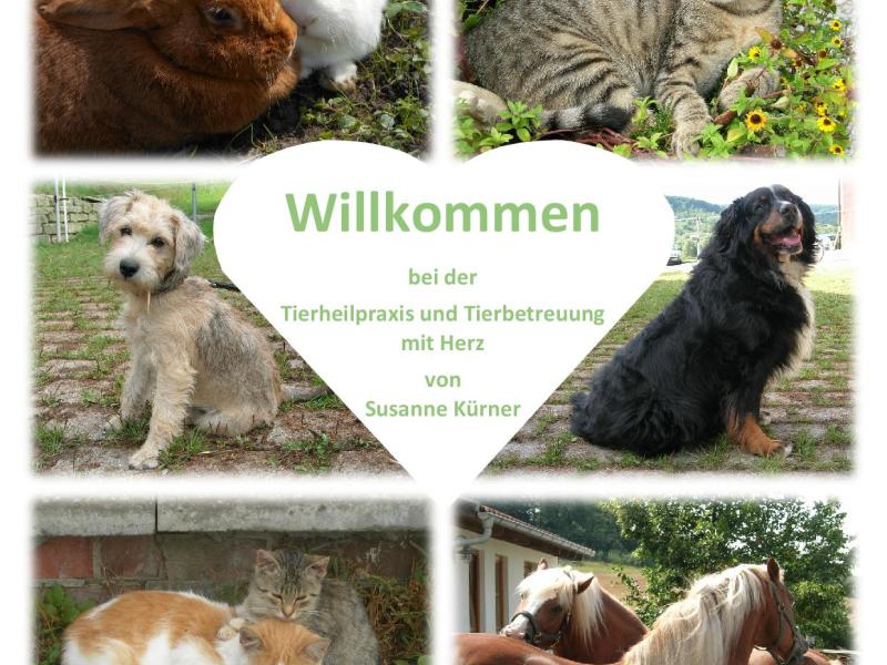 Tierheilpraxis und Tierbetreuung mit Herz, Tierheilpraktikerin Susanne Kürner