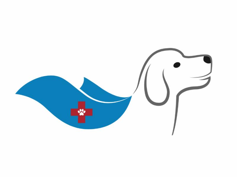 Die Assistenzhunde-Helden