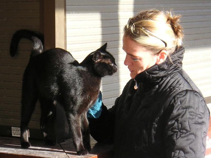 für-die-katz - mobile Katzenbetreuung Petra Breit