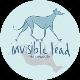 Hundeschule invisible lead