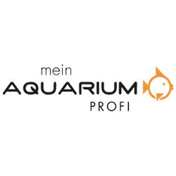 Jeffrey Möwert -Mein Aquariumprofi-
