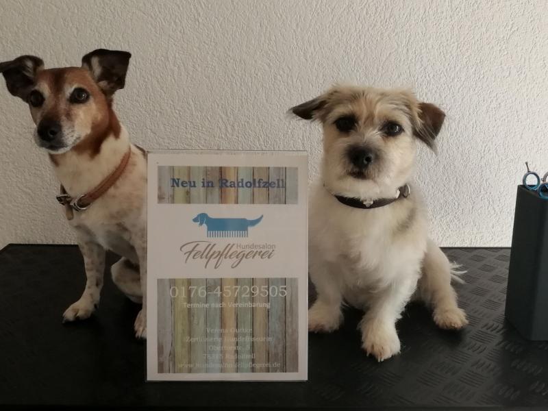 Hundesalon Fellpflegerei