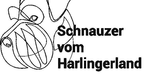 Schnauzer vom Harlingerland