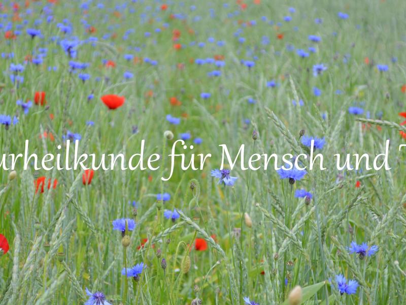 Renate Keim "Hubert's Feines Futter"