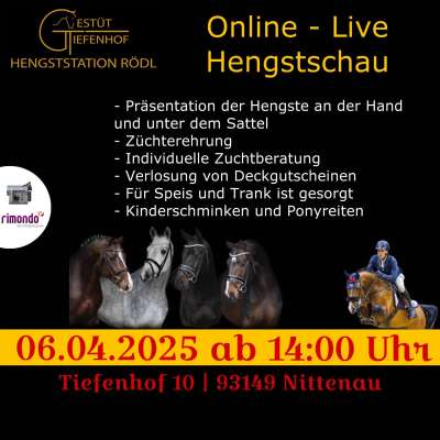 Pferdezuchtgenossenschaft Süd-Ost
