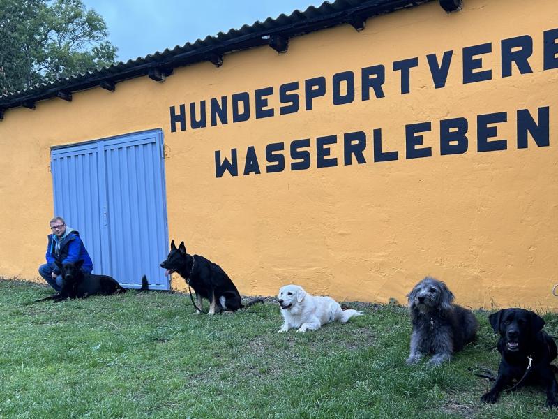 Hundesportverein Wasserleben e.V.