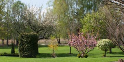 Tierpension im Wald GmbH