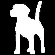 Labrador Von Der Zißlmühle Vanessa Bergmann Christian Rinner