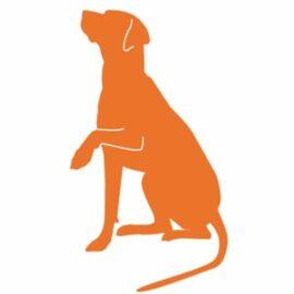 coach4dogs Hundeschule