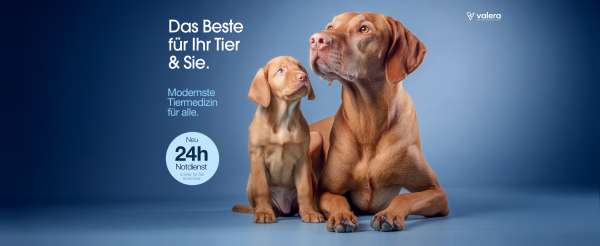 VETOS Tierklinik Berlin GmbH & Co. KG