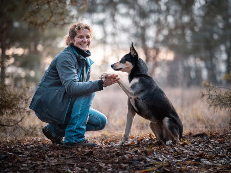 Hundeschule BerlinHund