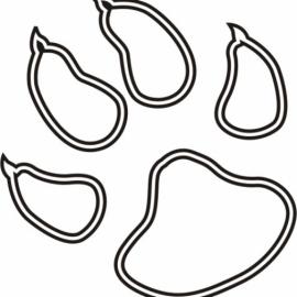 Grafschafter Hundesportverein Nordhorn - Mitgliedsverein im Deutschen Verband für Gebrauchshundsportvereine e.V. -