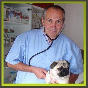 Dr. Peter Csaszar Tierarzt