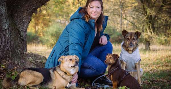 Altländer Hunde