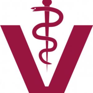 Verena Uhlmann Tierarztpraxis Uhlmann