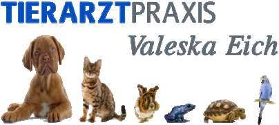 Tierarztpraxis Valeska Eich