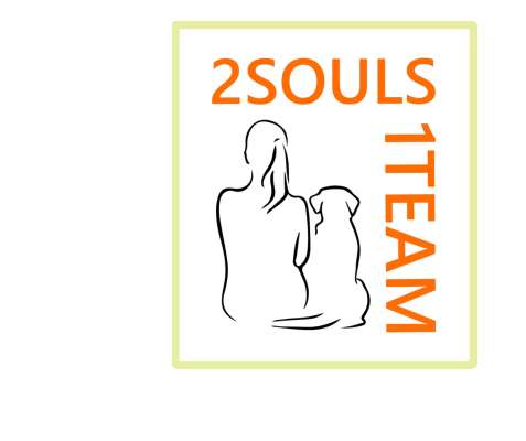 2souls-1team