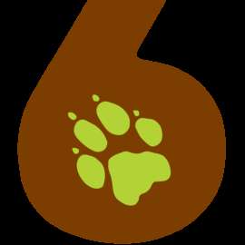 Hundeschule 6 Pfoten