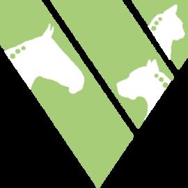 Tierarztpraxis Am Torhaus Dölitz