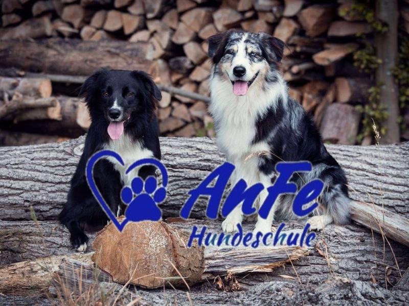 Hundeschule AnFe