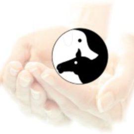 Tierärztliche Praxis für Akupunktur und Osteopathie Dr. Andrea Amberg-Alraun