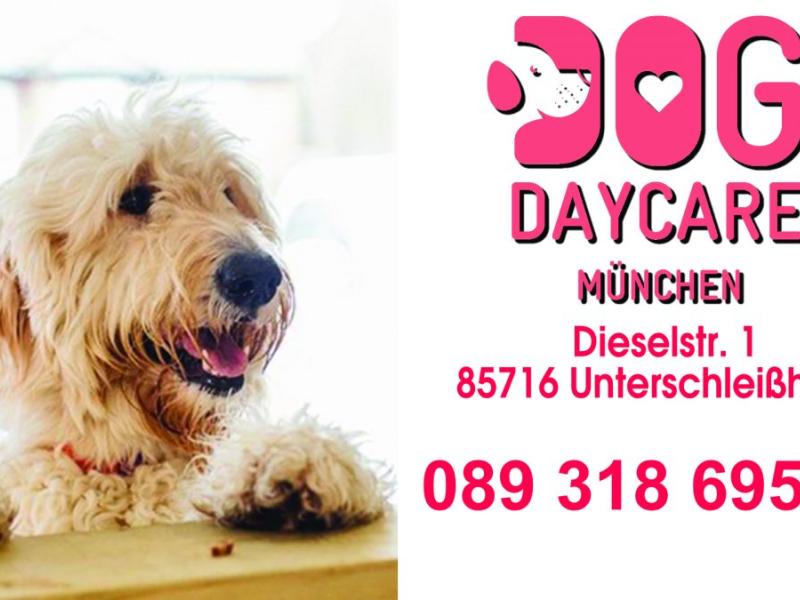 Dog Daycare GmbH