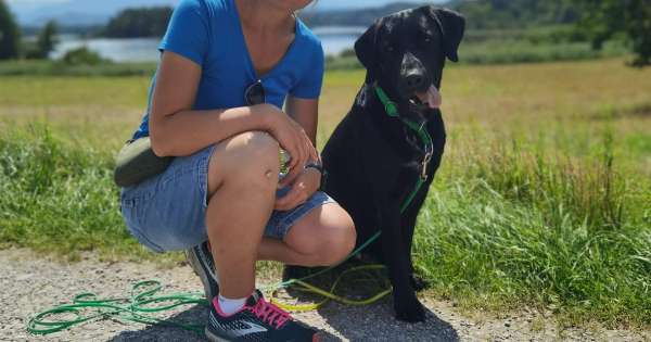 Hundeschule Rohrbach