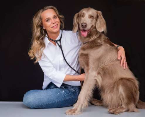 doc4pets Karlsruhe/Karlsbad GmbH