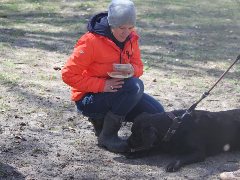 Hundeschule Nassenfels Natalie Basche Hundeschule