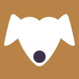 Curriculum Canis
