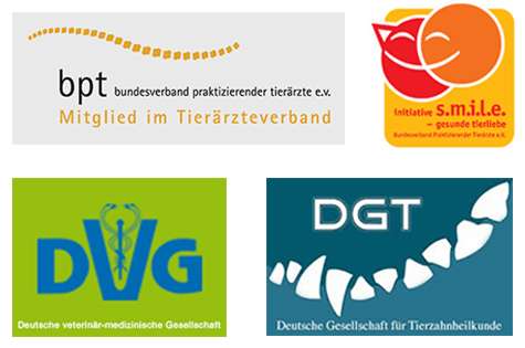 Tierarztpraxis Dr. Kathrin Reuter