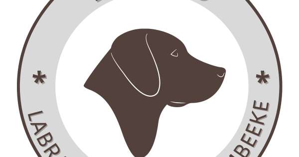 Labrador zur Schermbeeke