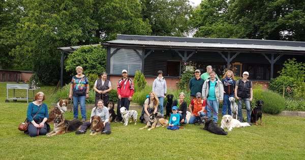 Verein der Hundefreunde Geisenheim e.V.