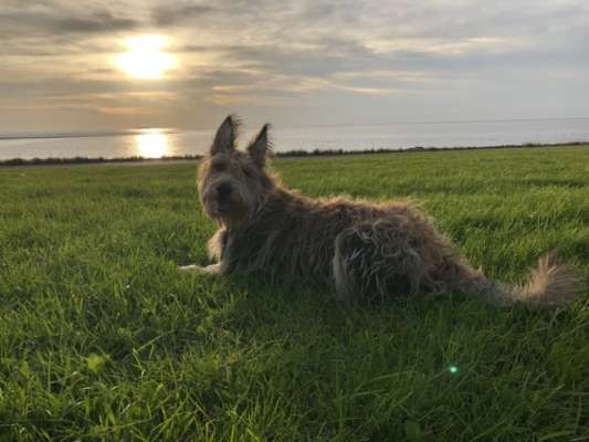 Marlies Stapper Lernzentrum für Mensch und Hund