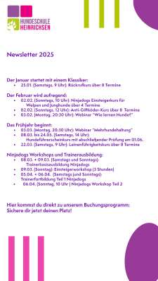 Hundeschule Heinrichsen Melanie Heinrichsen