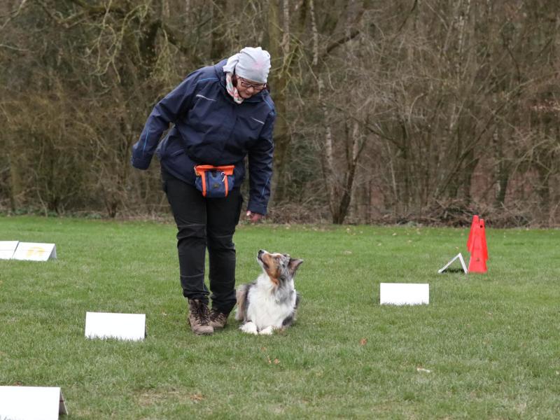 Hundesportverein Jump for Fun Hagen a.T.W.