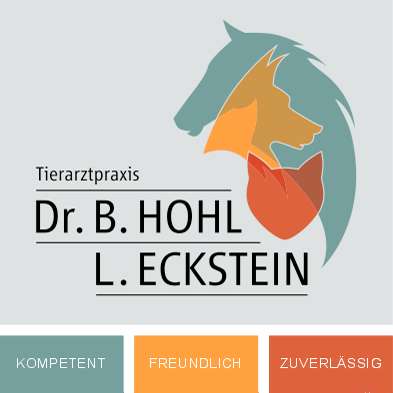 Lothar Eckstein