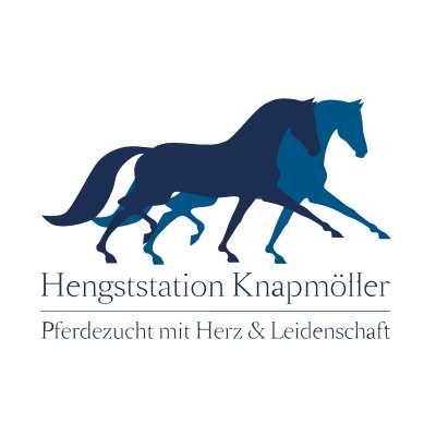 Hengststation Ludger Knapmöller