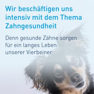 Dr. Marco Atzeni Tierärztliche Praxis