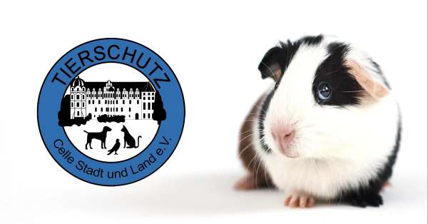 Tierschutz Celle Stadt und Land e.V.